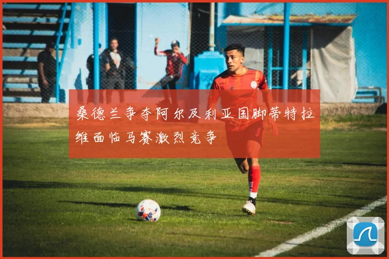 桑德兰争夺阿尔及利亚国脚蒂特拉维面临马赛激烈竞争